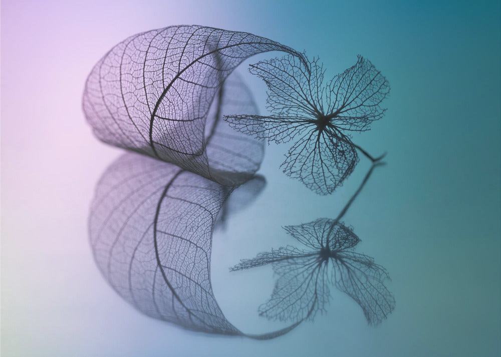 Story of leaf and flower | Canvas