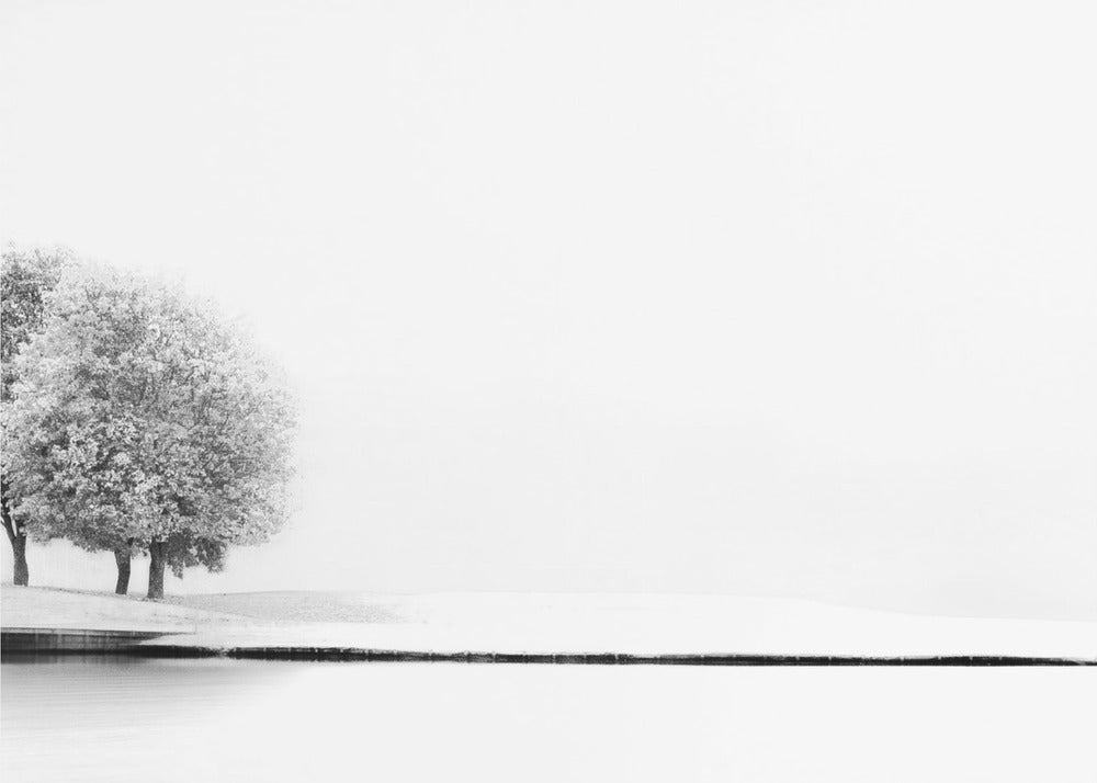Vereint #2 | Leinwand