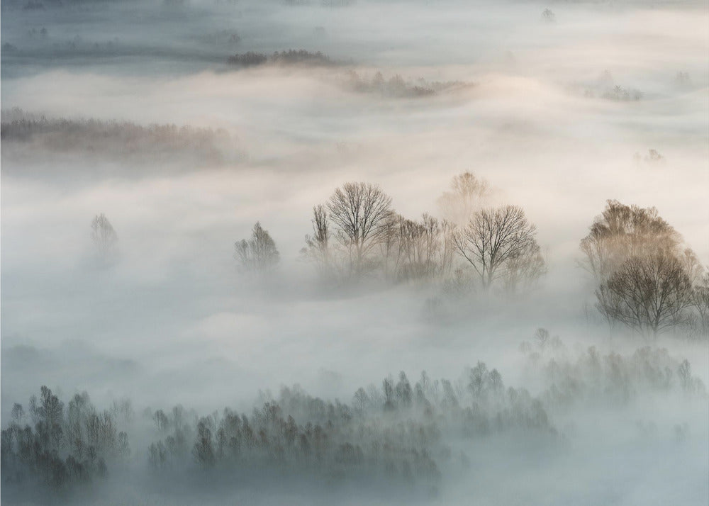 Winternebel | Poster