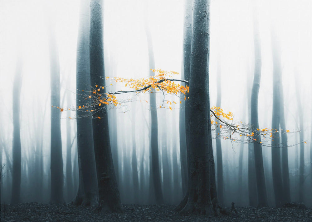 Speulder Revisited | Hintergrund