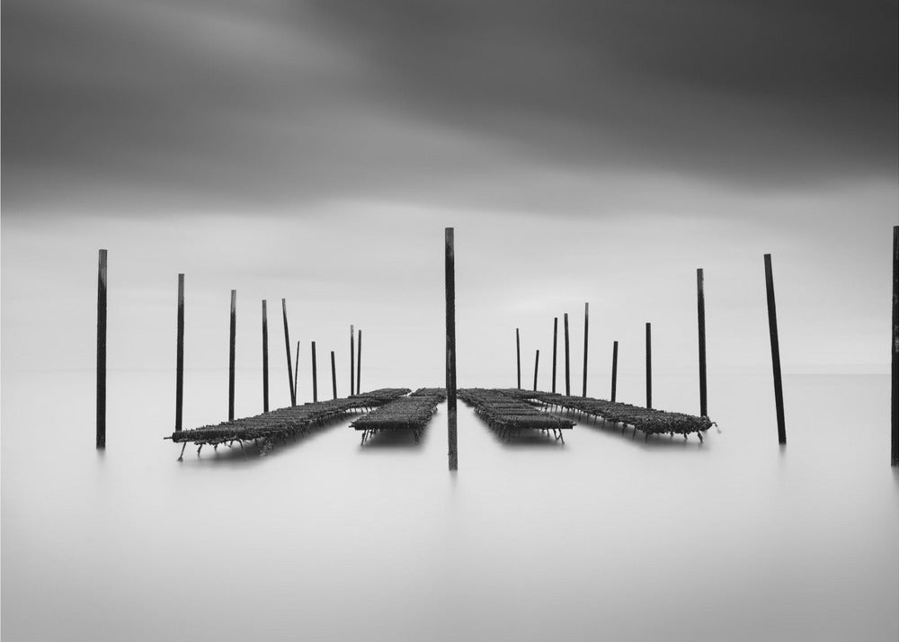 The Oyster Bar | Canvas