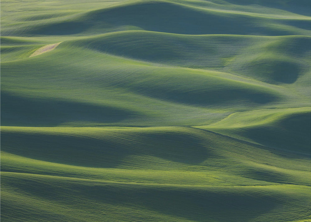 Die feine Haut der Erde | Hintergrundbild