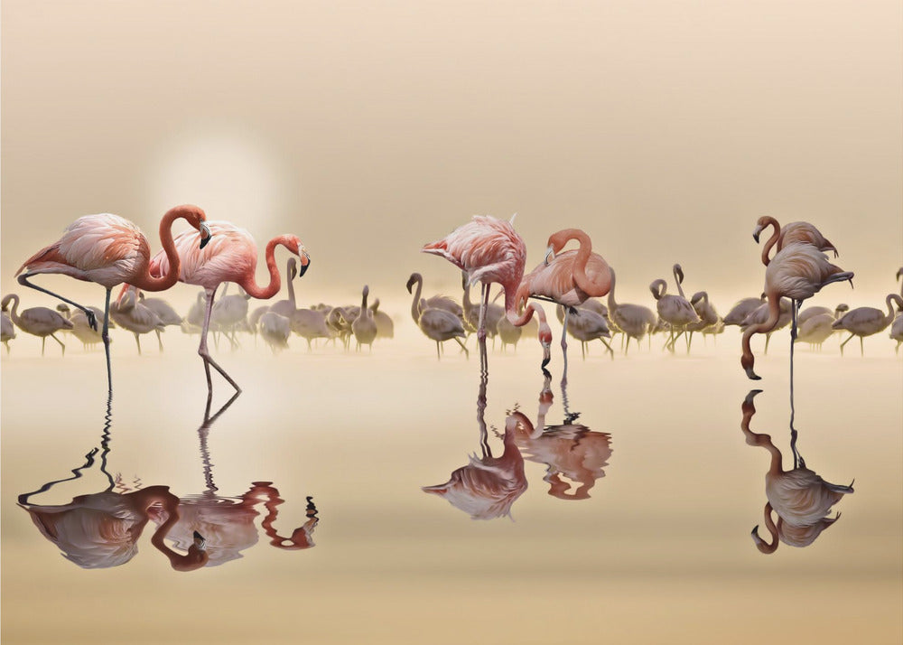 FLAMINGOS | Tapete