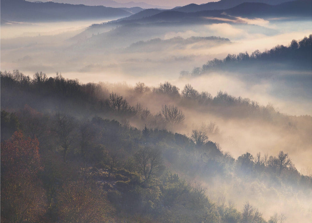 Diese magischen Momente | Hintergrundbild