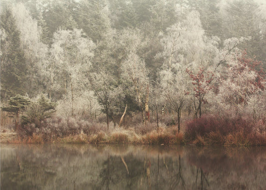 Die Eiskönigin | Tapete