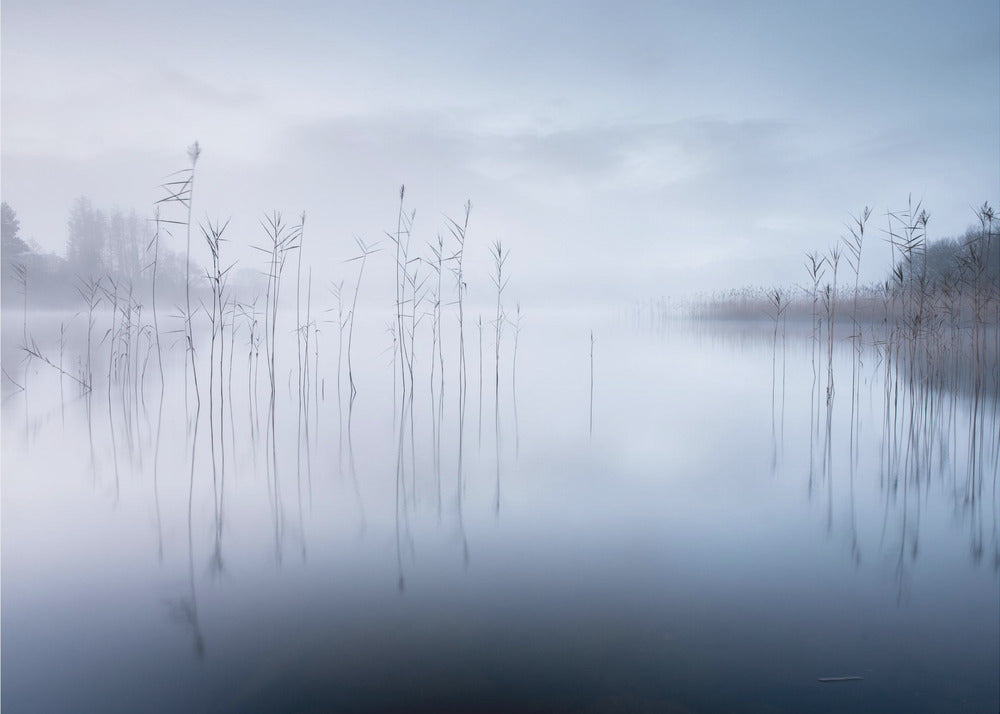 Ohne Titel | Tapete