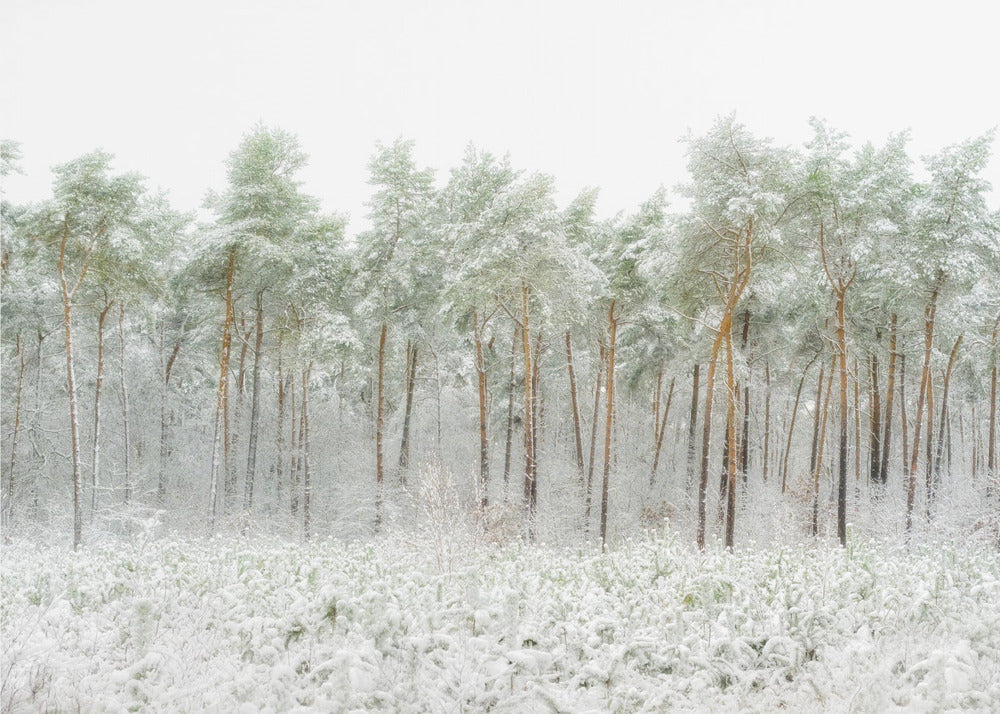 Schneewelt | Poster