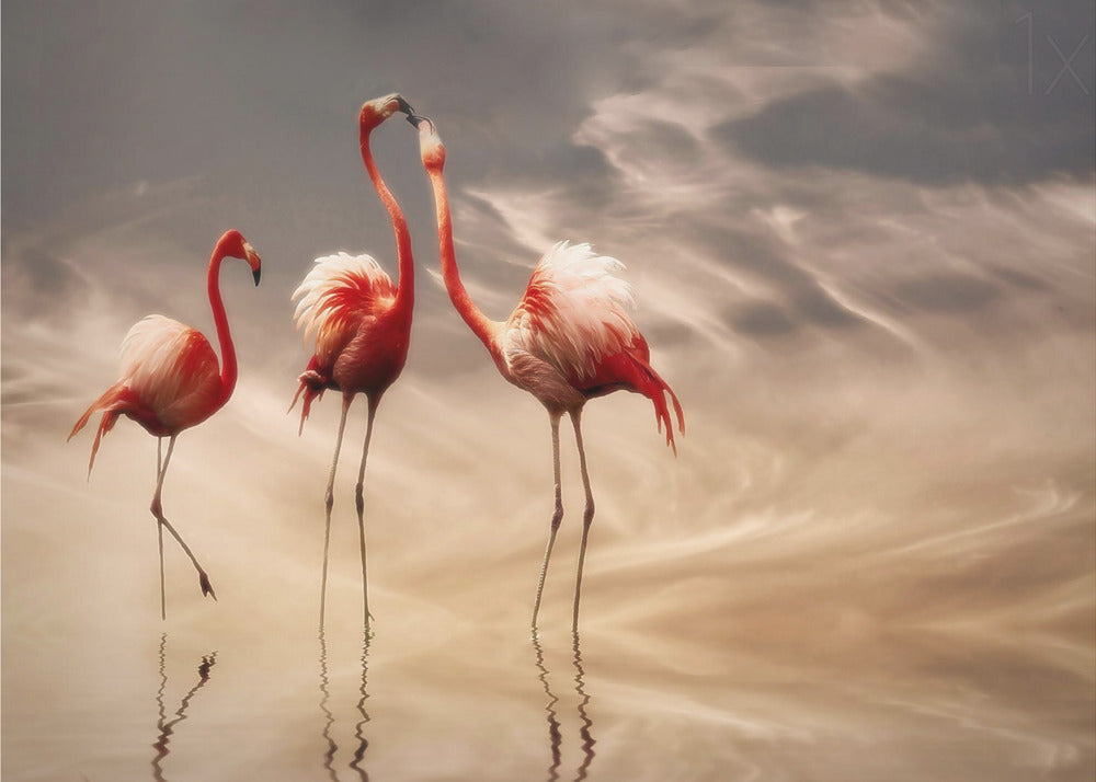 kämpfen ... | Poster