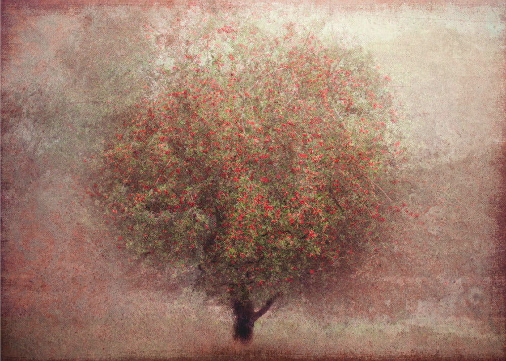 Apfelbaum | Tapete