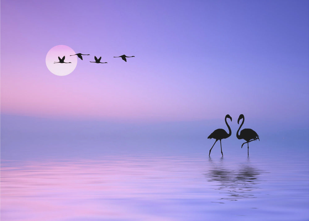 Fliegender Flamingo | Poster