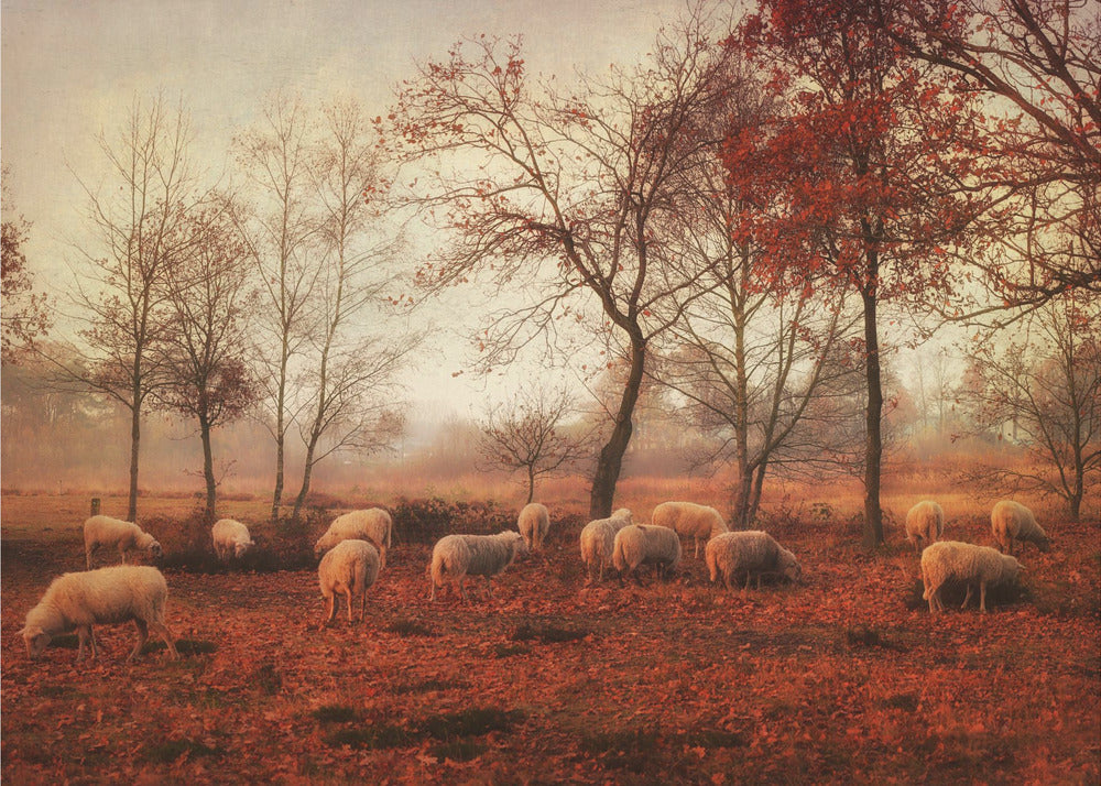 Last days of autumn | Canvas