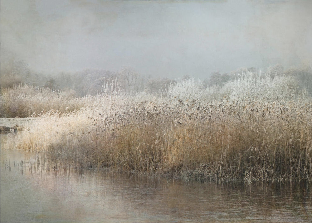Wintermorgen | Tapete