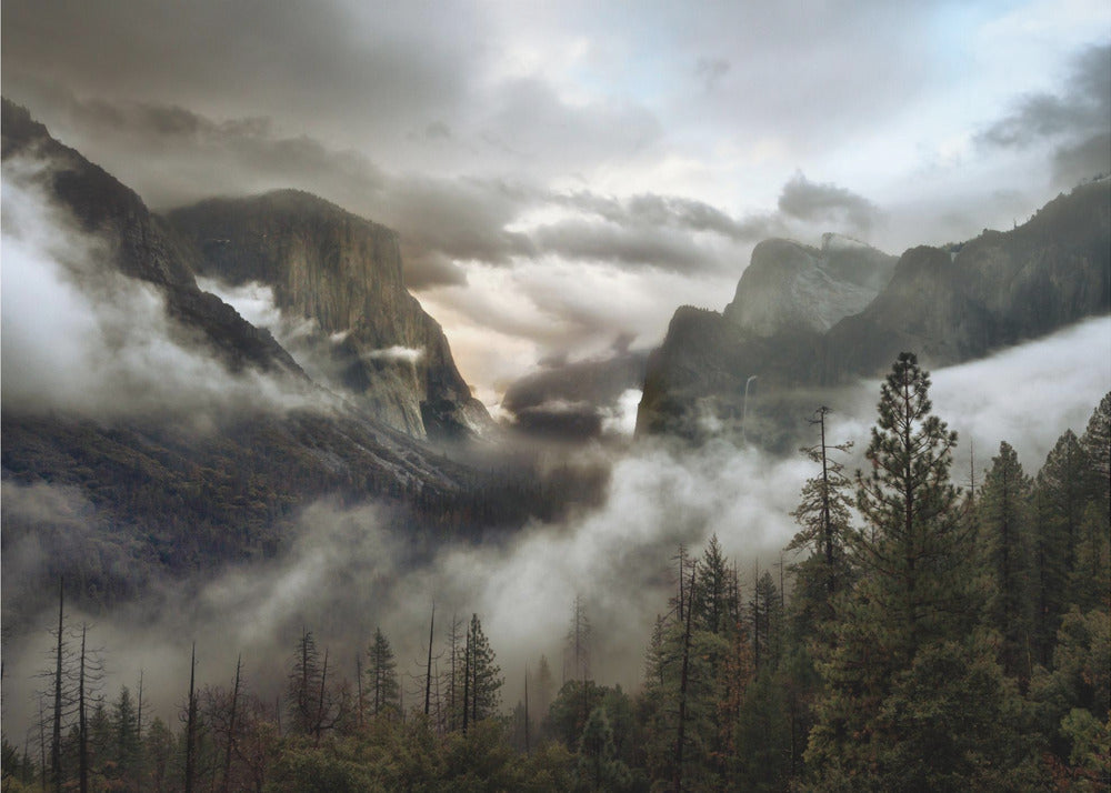 Upper Valley Morning | Canvas