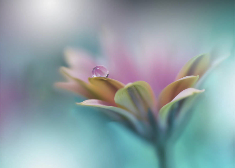 Erinnerungen ans Meer.. | Hintergrundbild