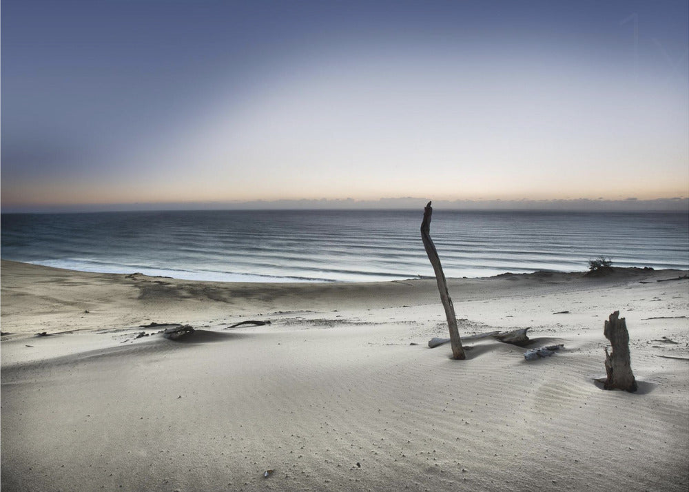 Greif nach der Sonne | Poster