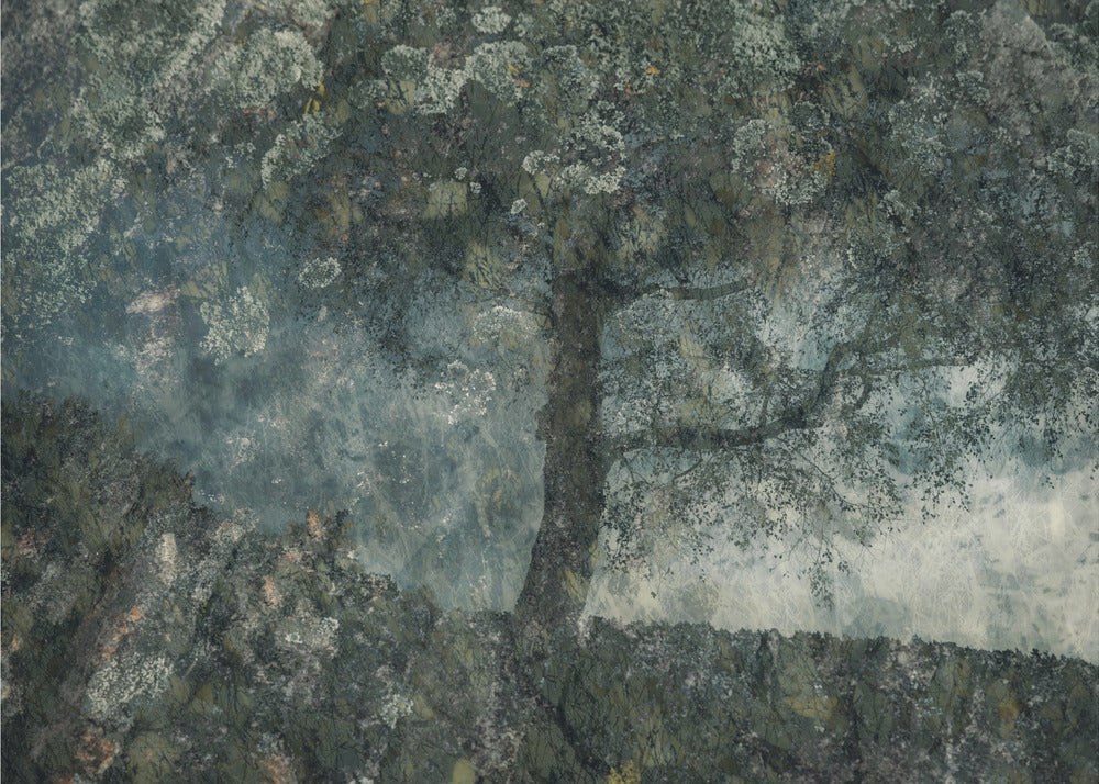 Felsen und ein Baum | Leinwand