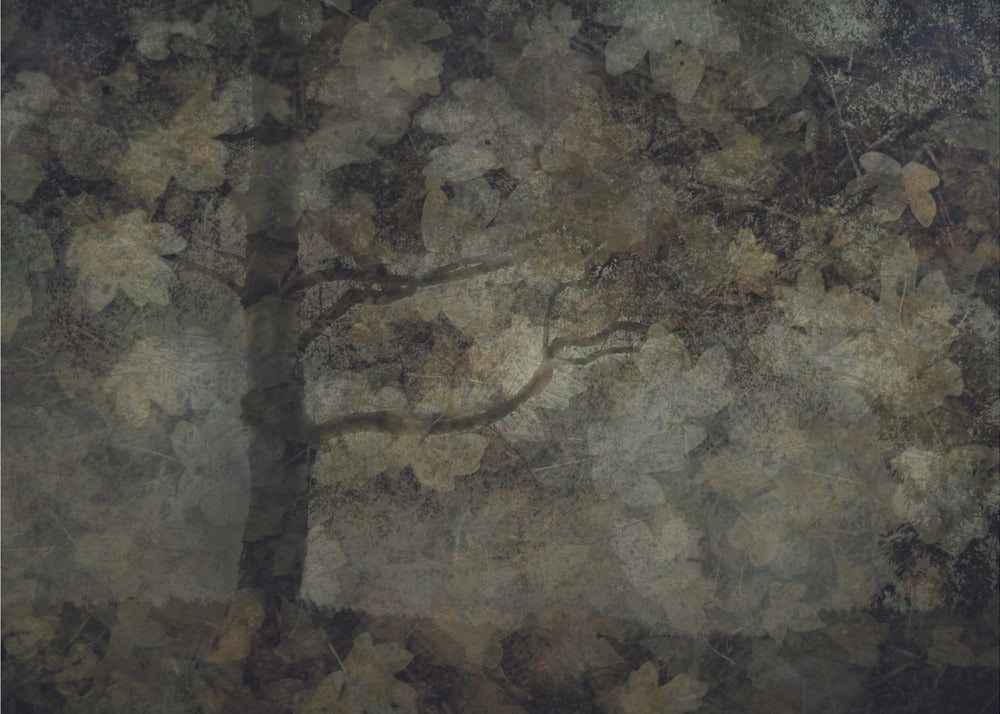 Dunkler Wald | Leinwand
