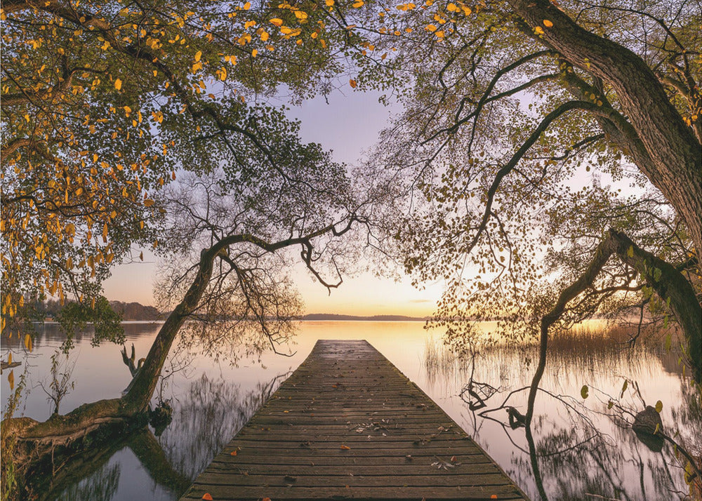 Herbst | Tapete