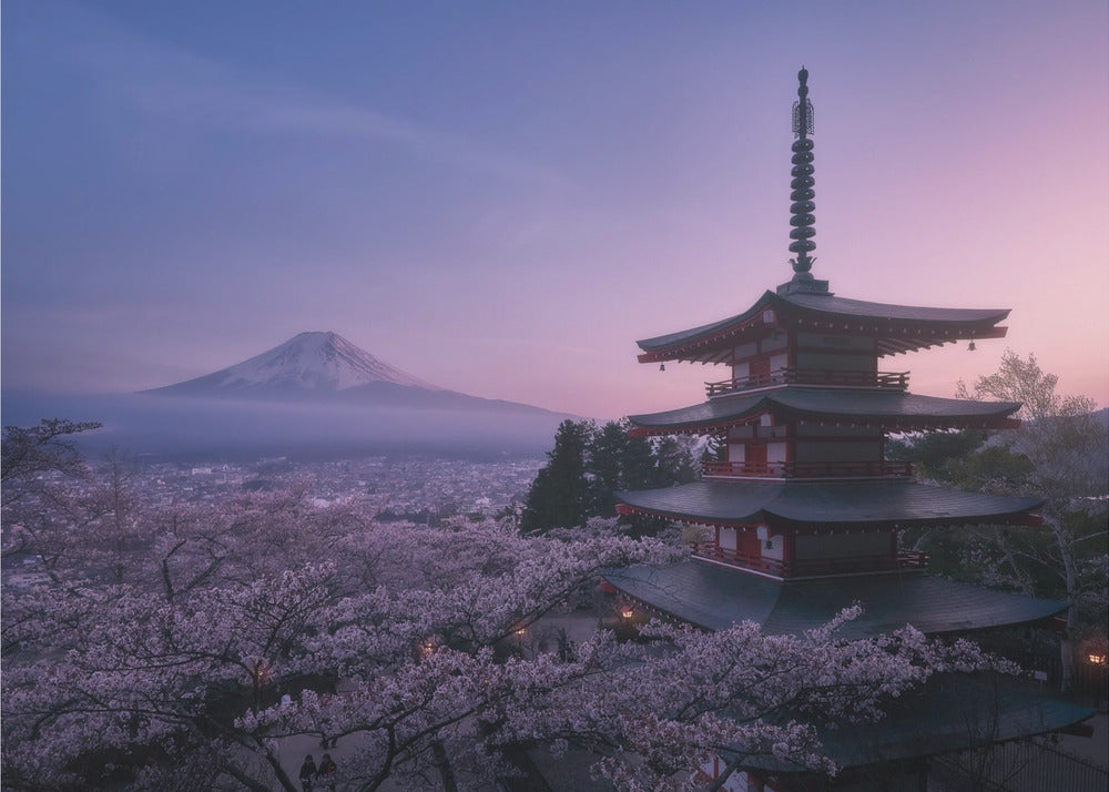 Berg Fuji Sakura | Leinwand