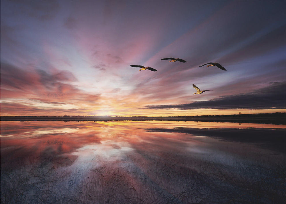 Morgenstimmung.. | Poster