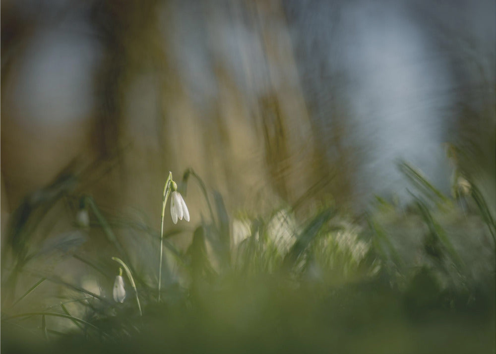 Fast allein... | Leinwand