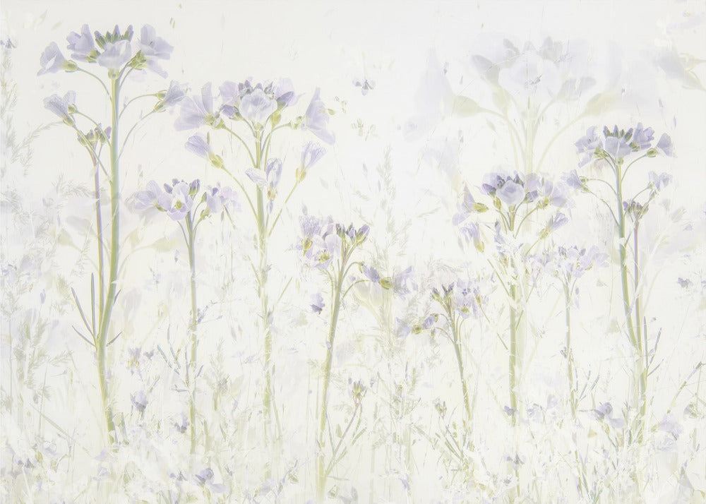 Frühling zu Hause | Leinwand