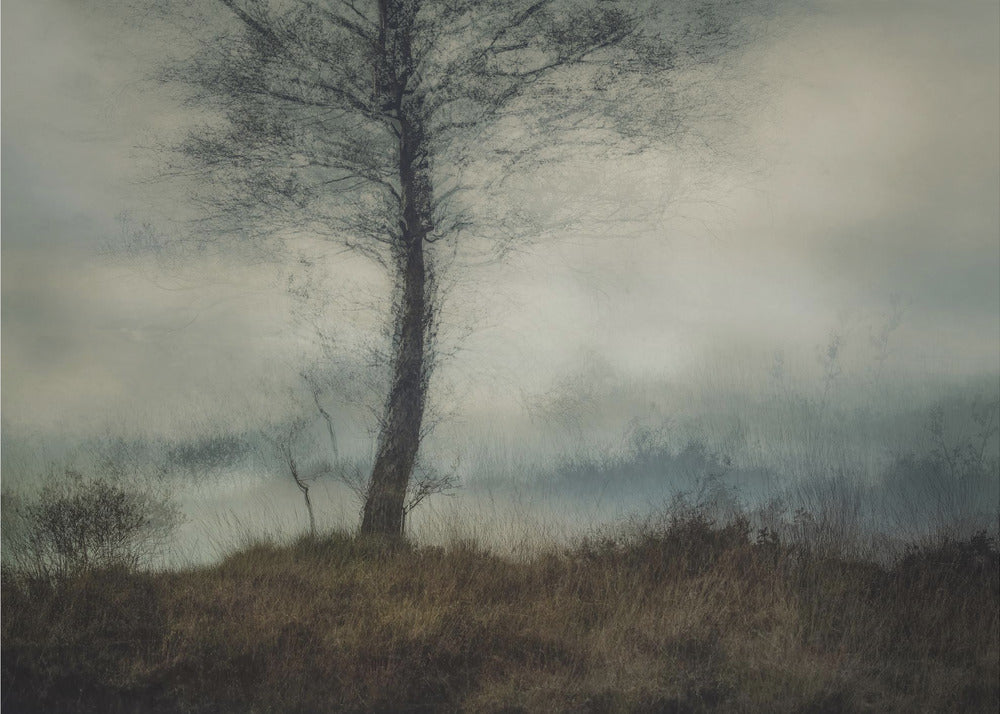 Leise | Leinwand