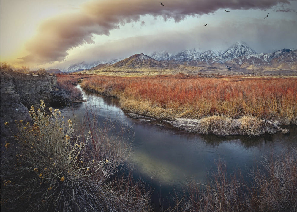 Owens River bei Sonnenaufgang | Poster