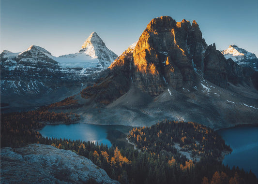 Morning Sunlight | Canvas