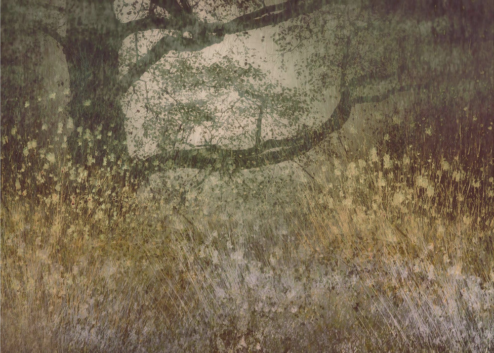 Autumn is coming | Poster