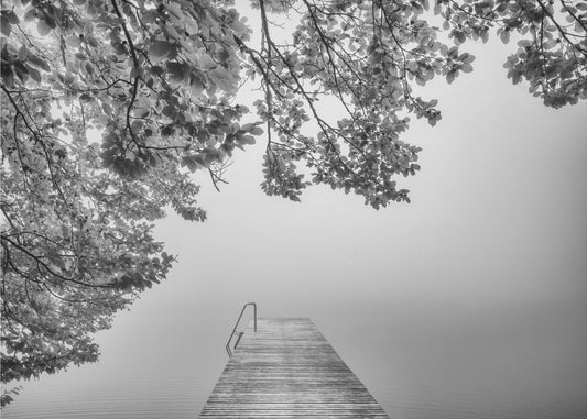 the sound of silence | Canvas