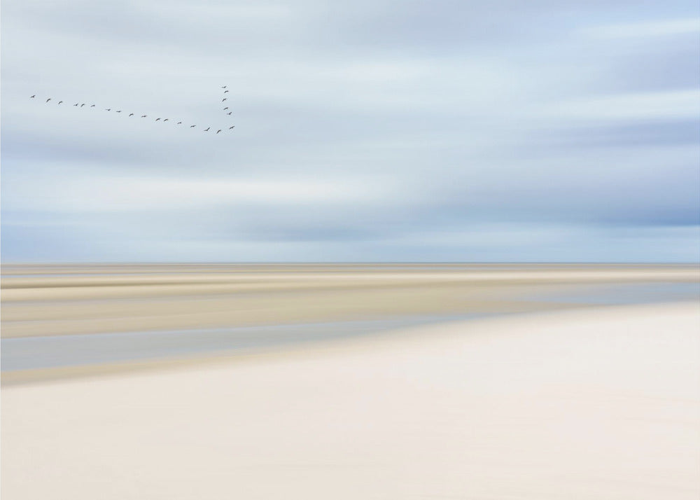 am Meer III | Tapete