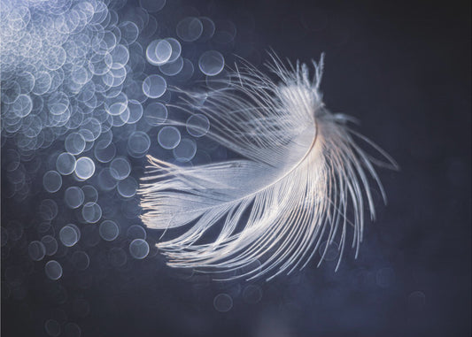 Gelassenheit | Tapete