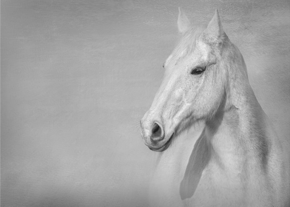 Das graue Pferd | Poster