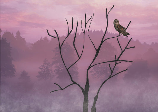 Rosa Himmel am Morgen | Poster