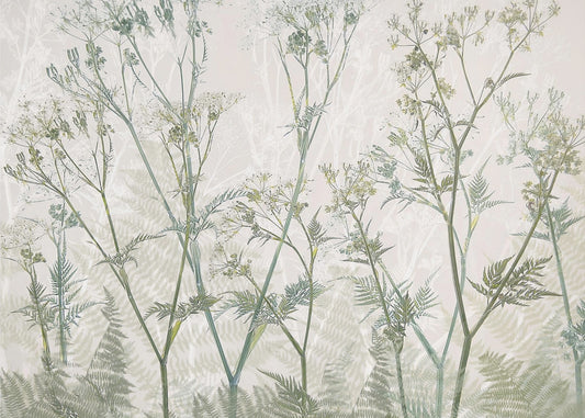 Wiesenkerbel | Leinwand