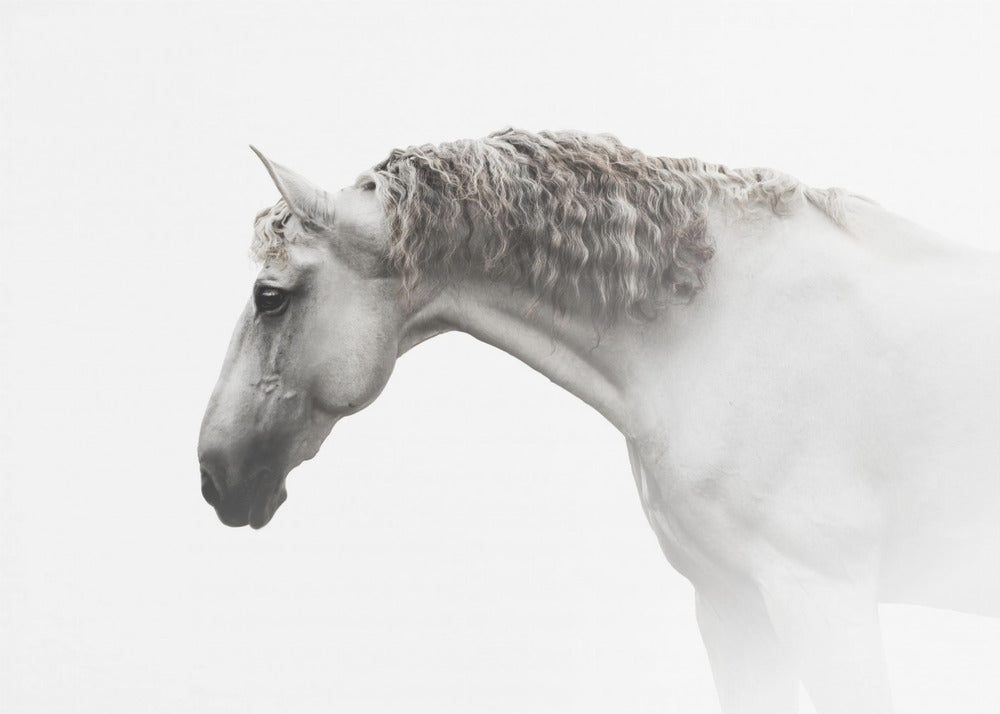 Lockiges Haar… | Poster