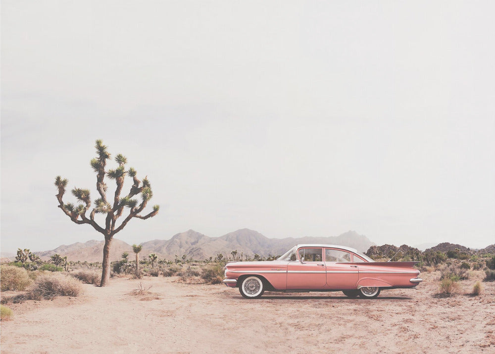 In the desert | Poster