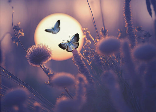 Believe You Can Fly | Canvas