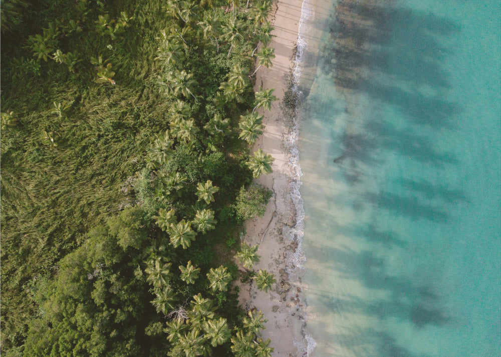 Grüner Strand von oben 2 | Poster