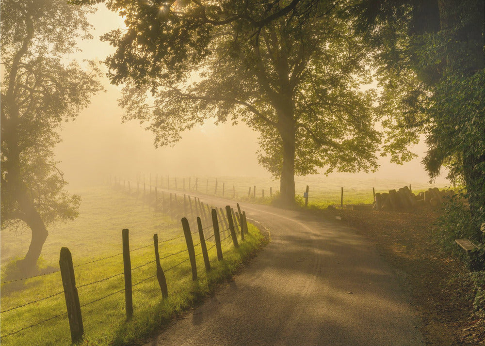 Morgenspaziergang | Tapete