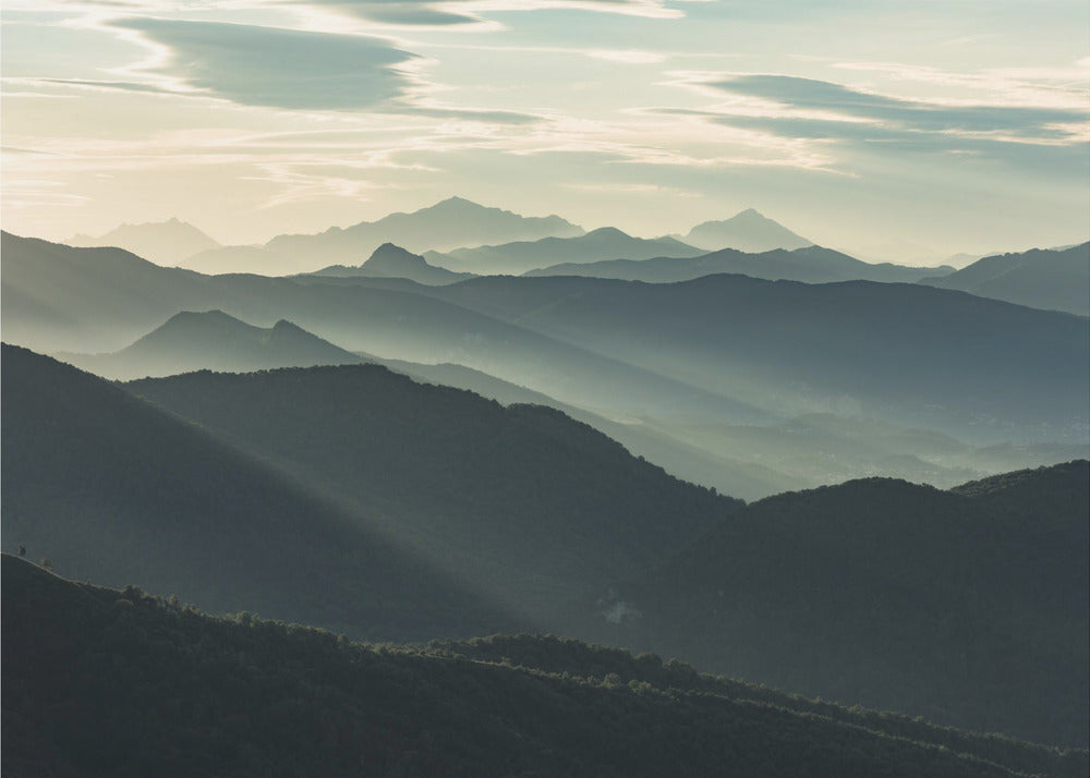 Silhouetten | Tapete