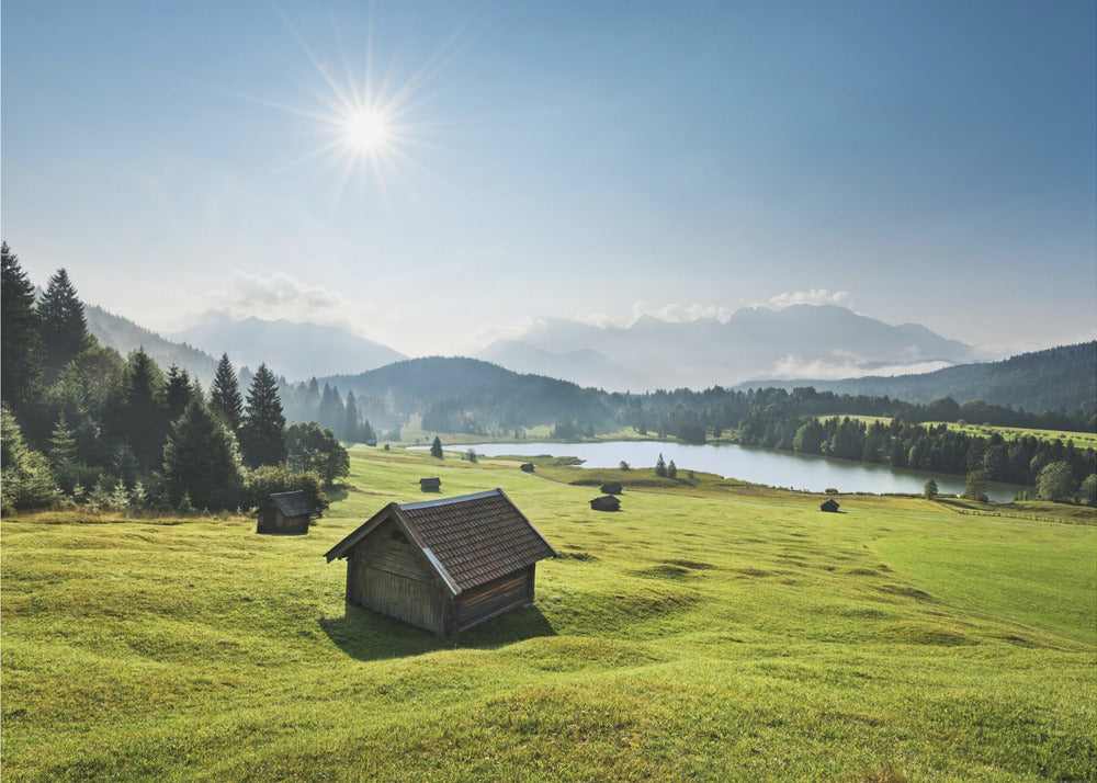 Sommerwiese | Poster