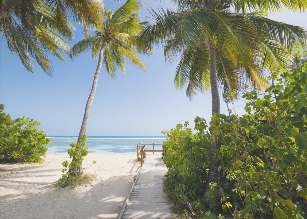 Zum Strand | Hintergrundbild