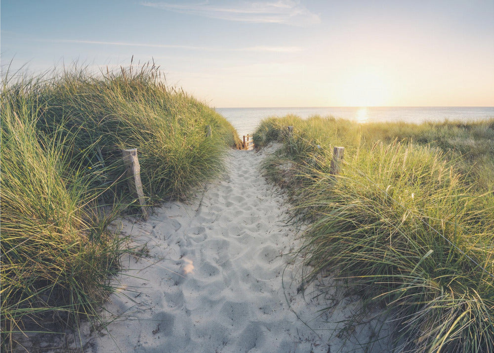 Zum Strand | Hintergrundbild