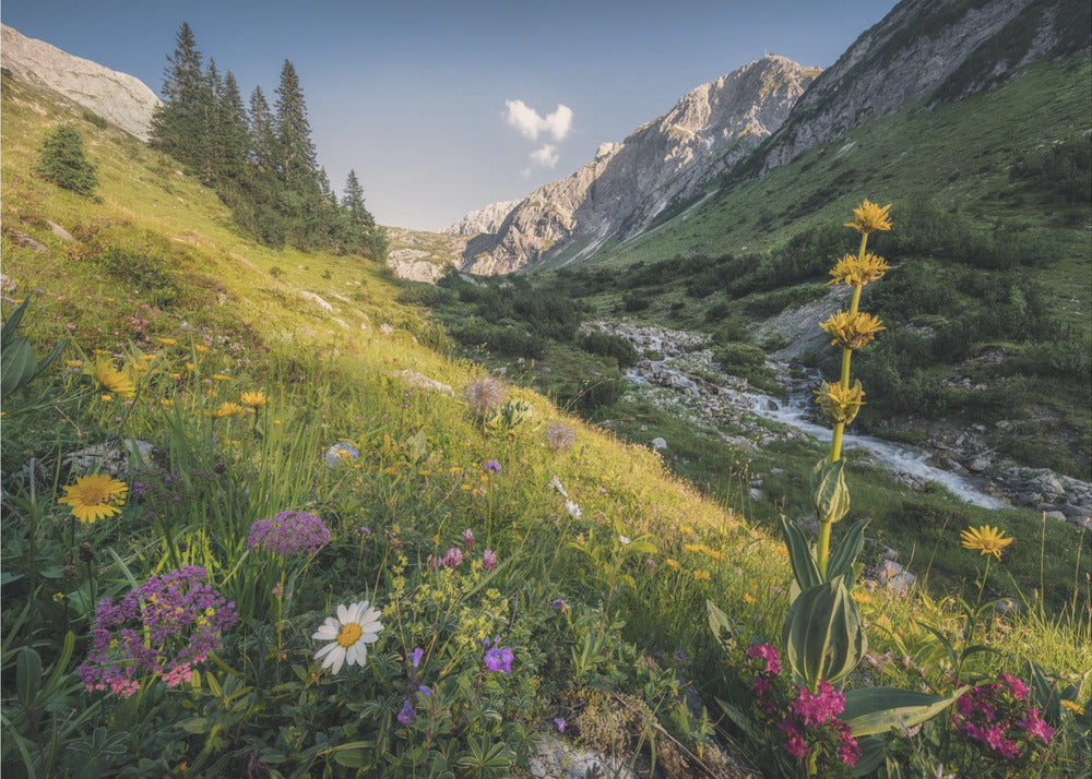 Garten Eden | Tapete