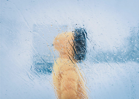 Stuck on the road | Canvas