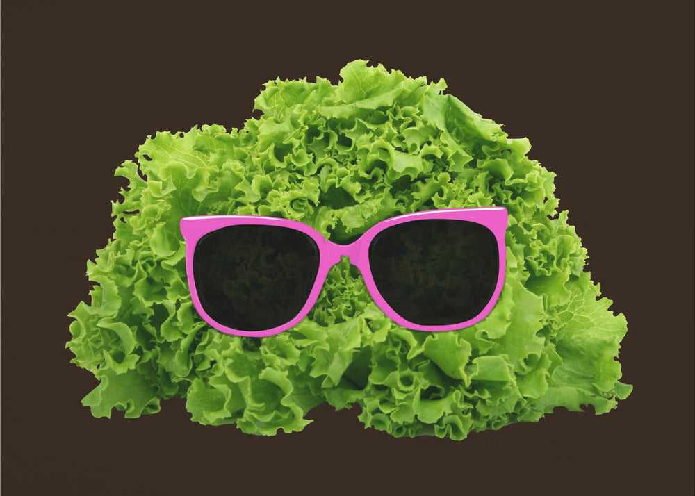 Herr Salat | Poster