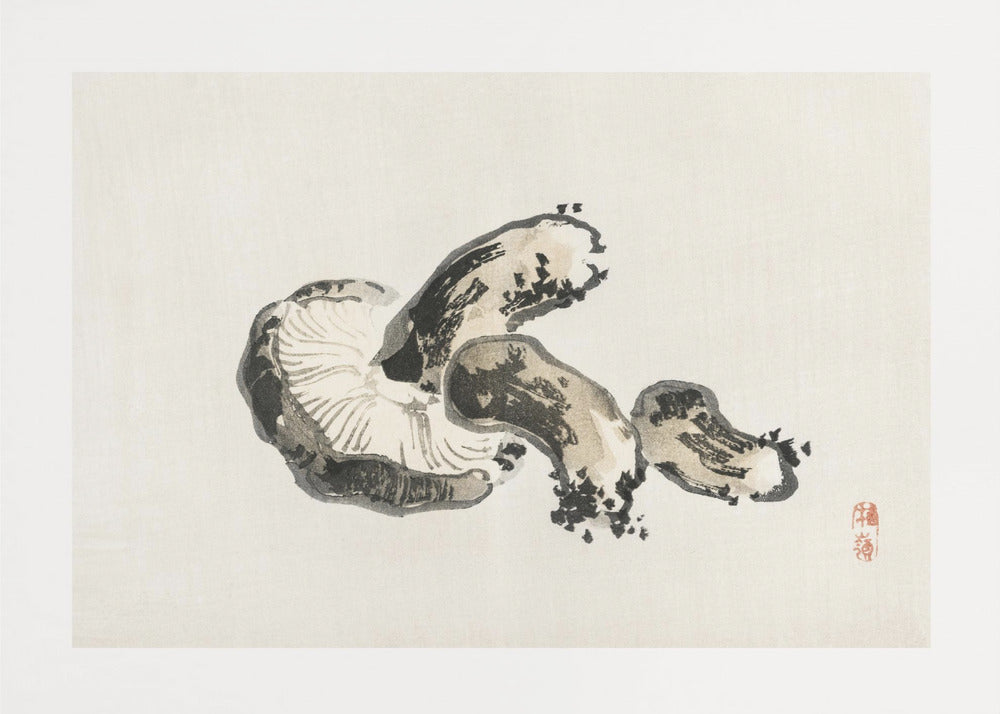 Shiitake-Pilz | Poster