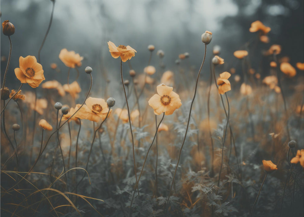 Goldener Mohntraum | Tapete